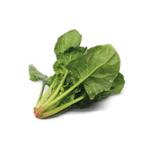 Spinacia Oleracea